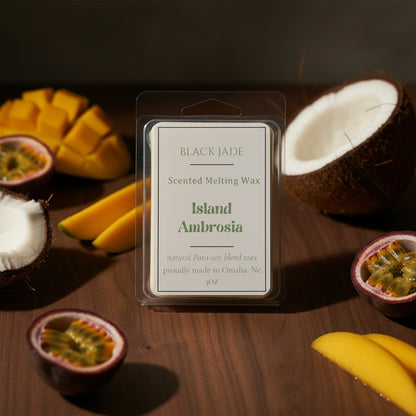 WAX MELTS